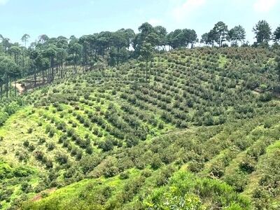 Rancho El Fresnal Jalisco Mexico