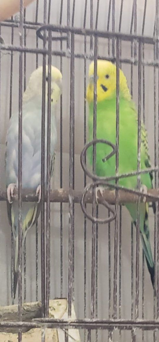 Main image 4