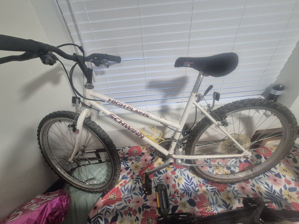 80s womens schwinn mtn bike