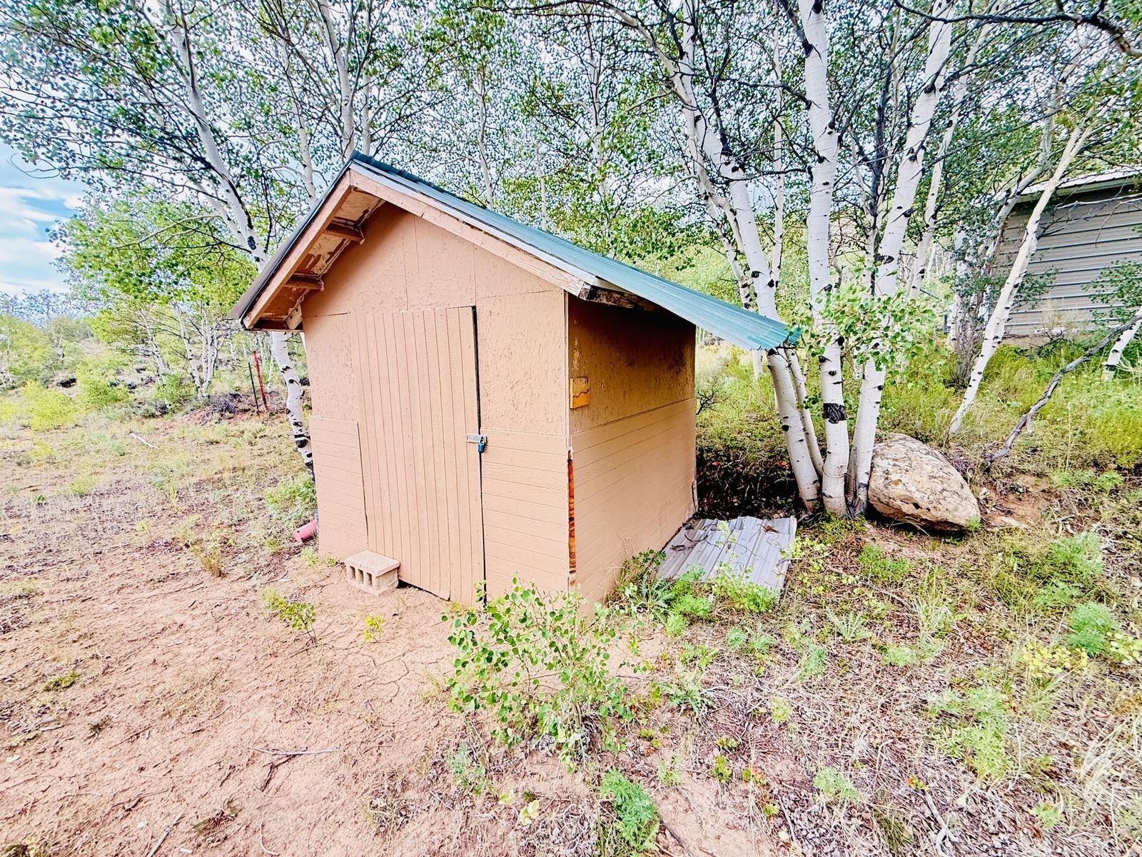 Main image 6