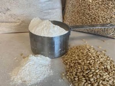 Wheat berries