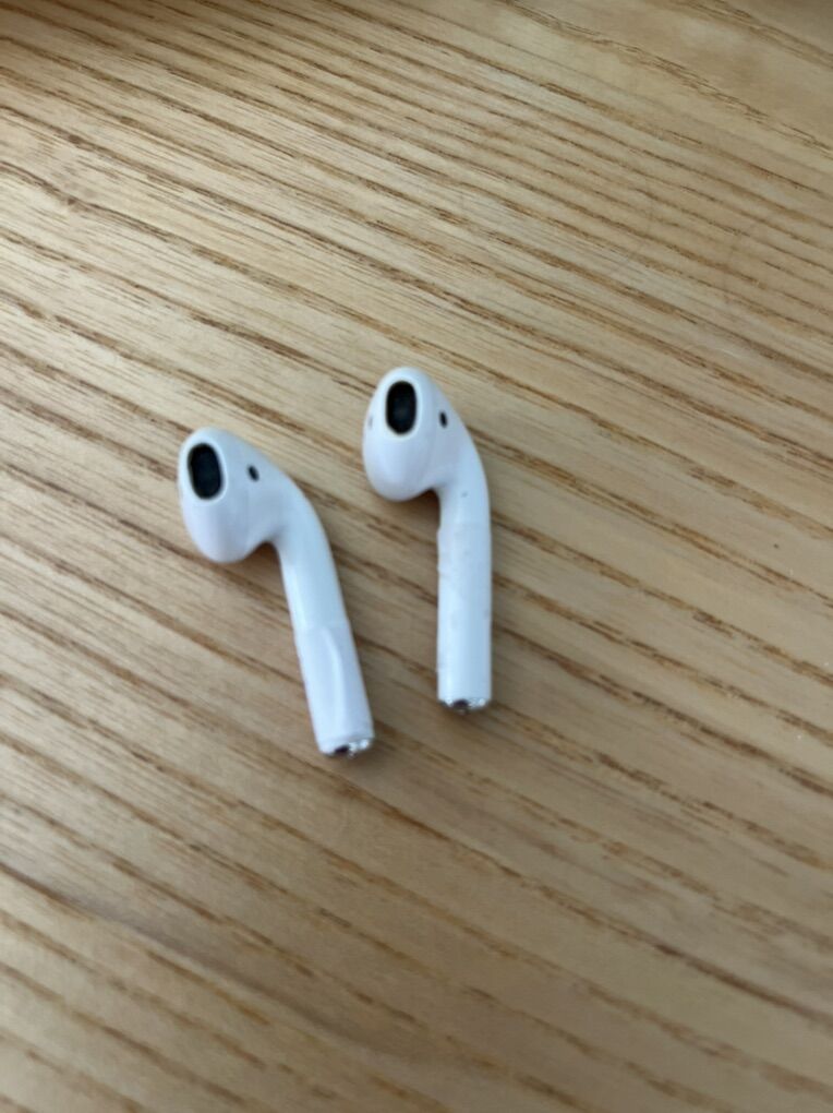 Ear Buds Only No Case