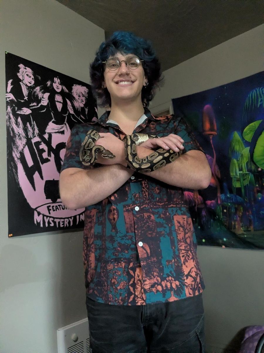 Ball python