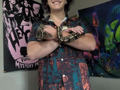 Ball python