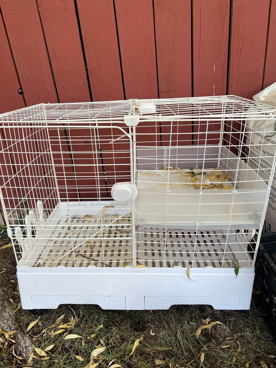 Rabbit cage