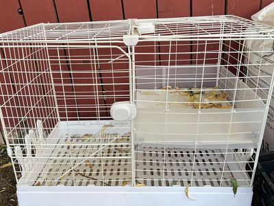 Rabbit cage