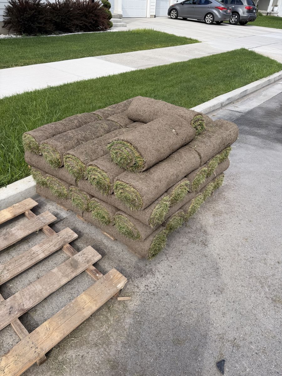 Free sod 