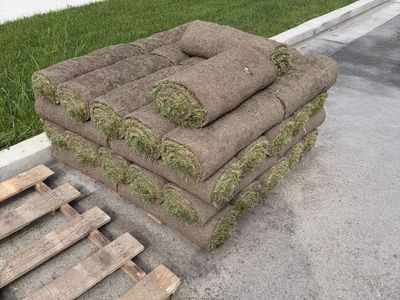 Free sod
