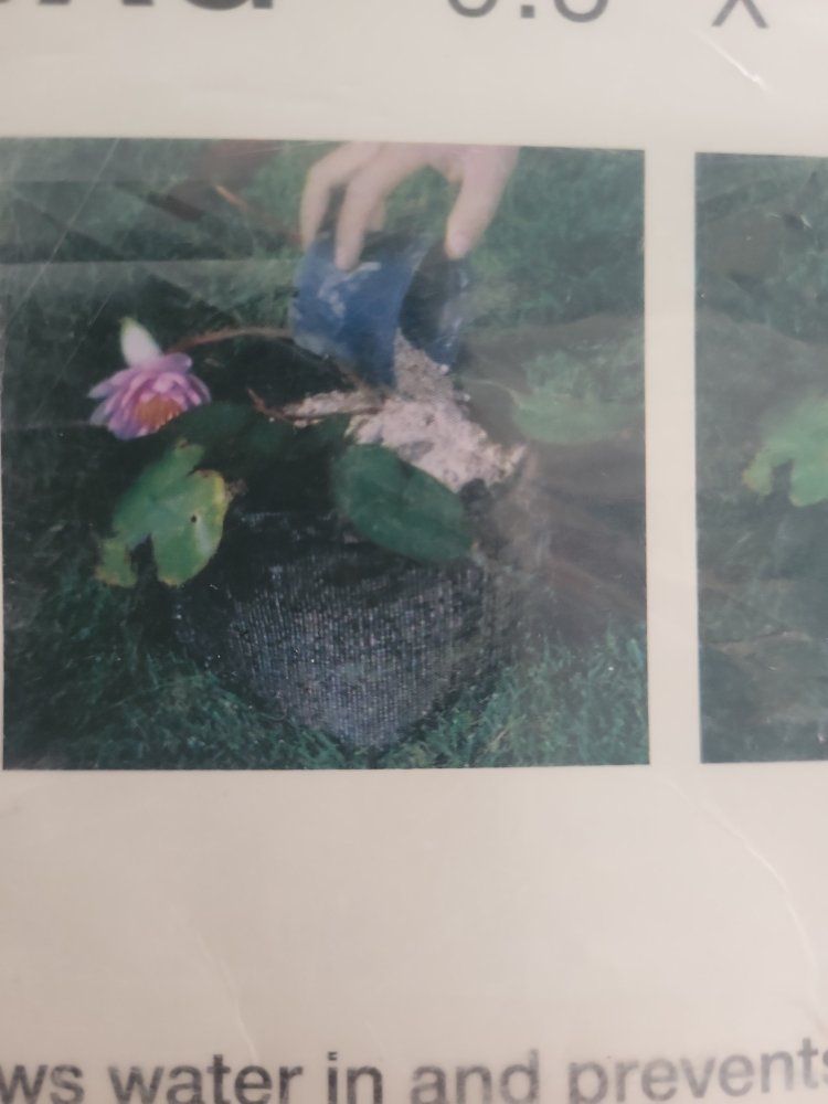Main image 6