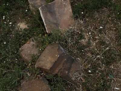 Assorted rocks and stones