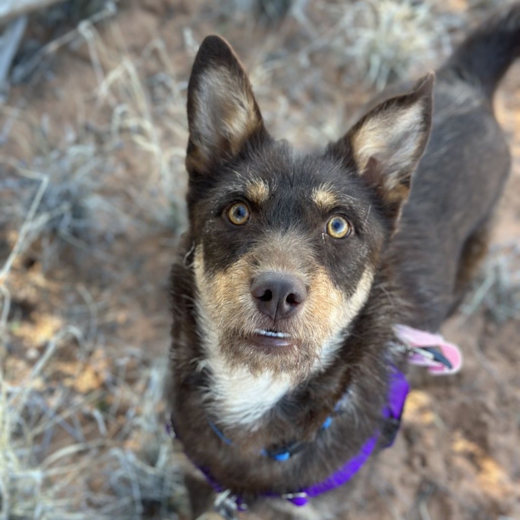 Hello my name is Karen