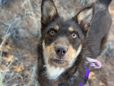 Hello my name is Karen