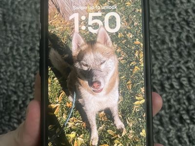 Apple iPhone 15 Pro 256GB - Unlocked with UAG Case & Screen Protector $550