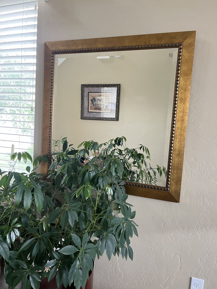 Large Statement Mirror with Gold Frame