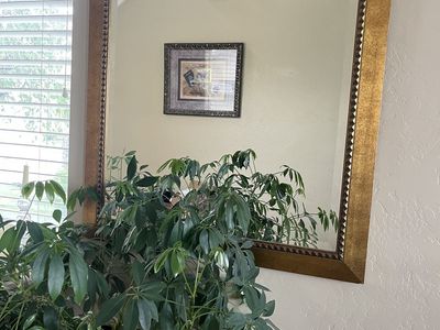 Large Statement Mirror with Gold Frame