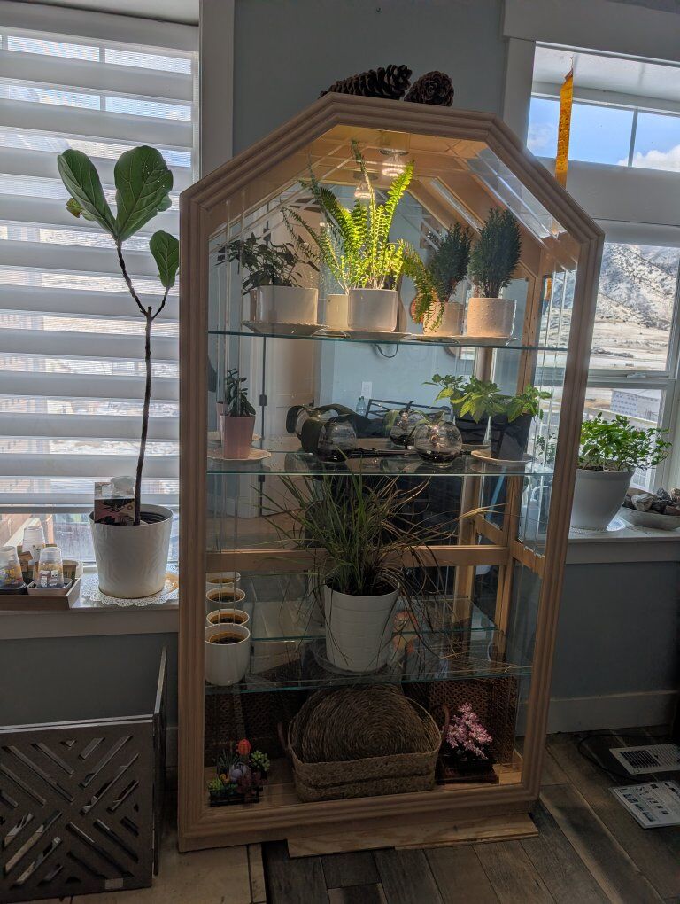 curio/buffet/greenhouse/glass/hutch/display cabine