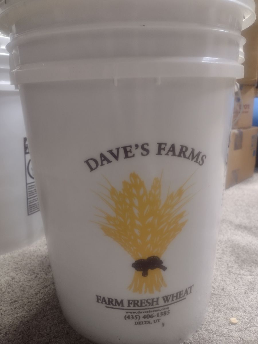 Wheat 5 Gallon Buckets