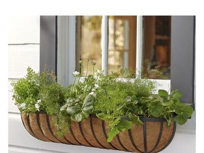 44 Hayrack Classic Wall Planter