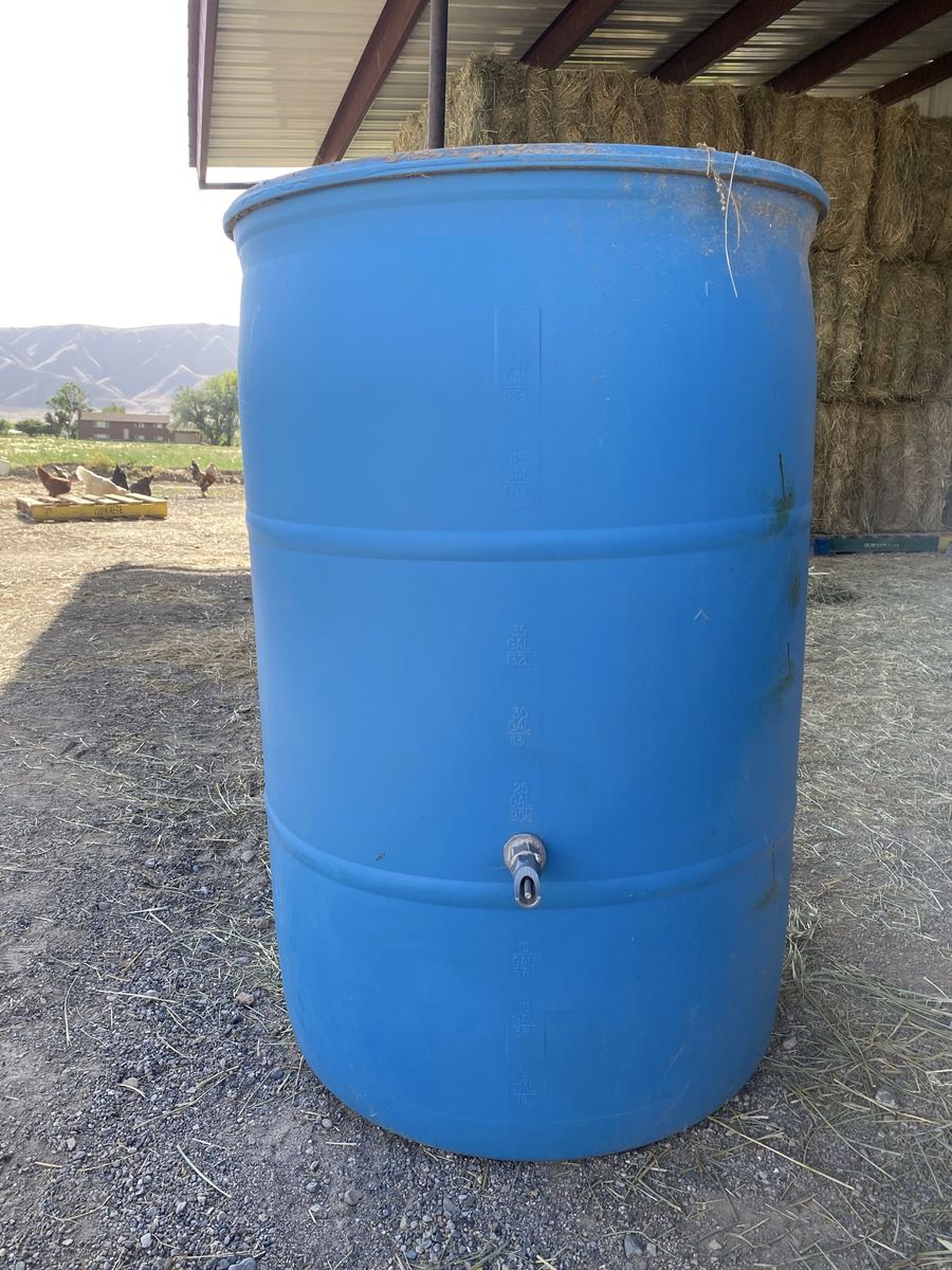 Animal water
