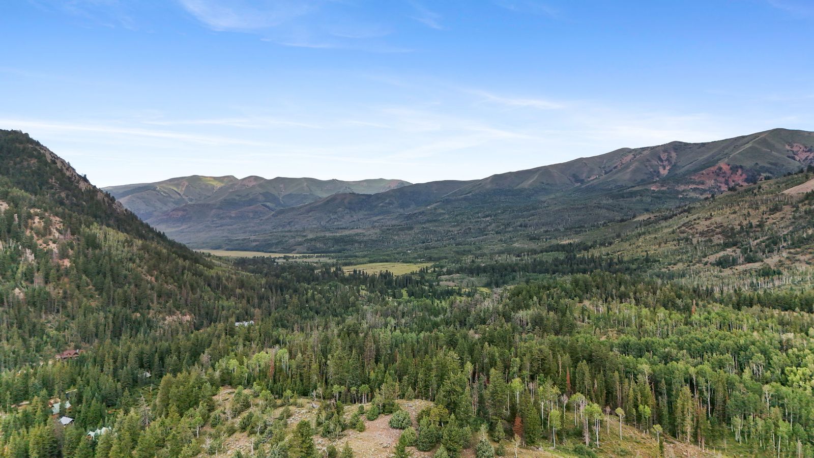 Main image 6