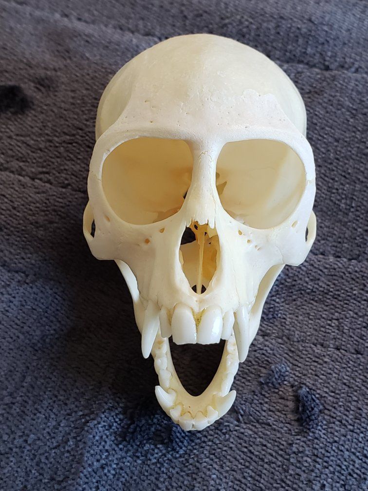 Main image 4
