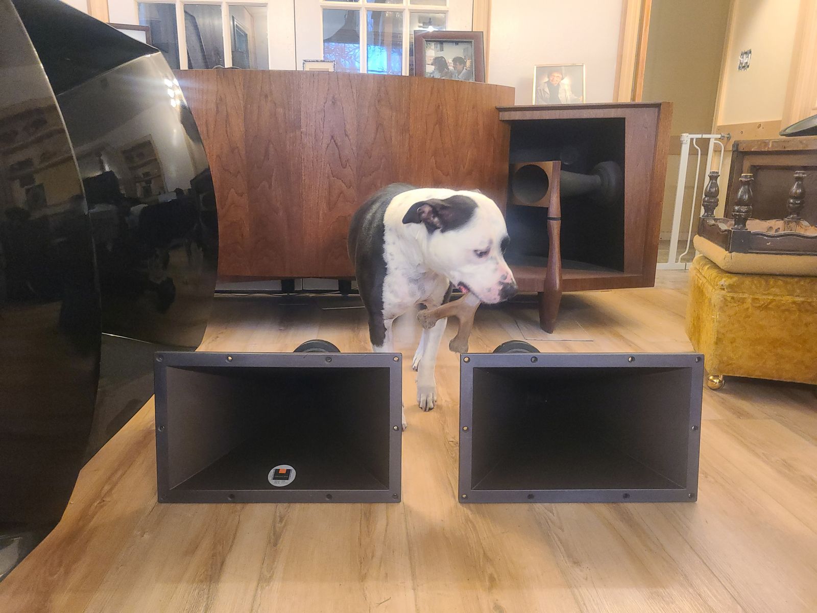 JBL 2386 horns, JBL 2327 throats, 2426H drivers $400