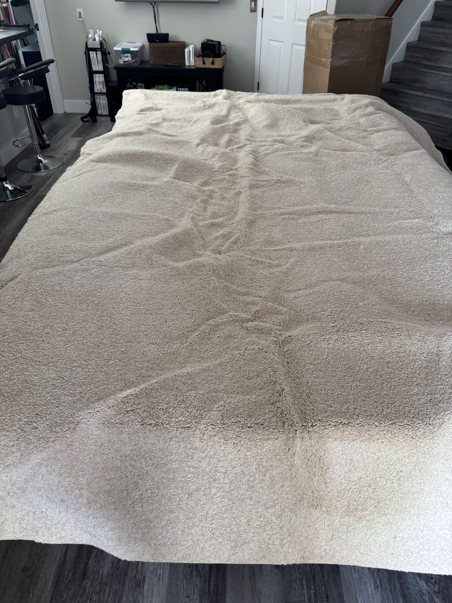 KoecKritz Rugs Soft & Cozy Flax Beige Area Rug 10' x 12' Stain Resistant