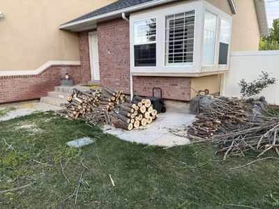 Free Firewood