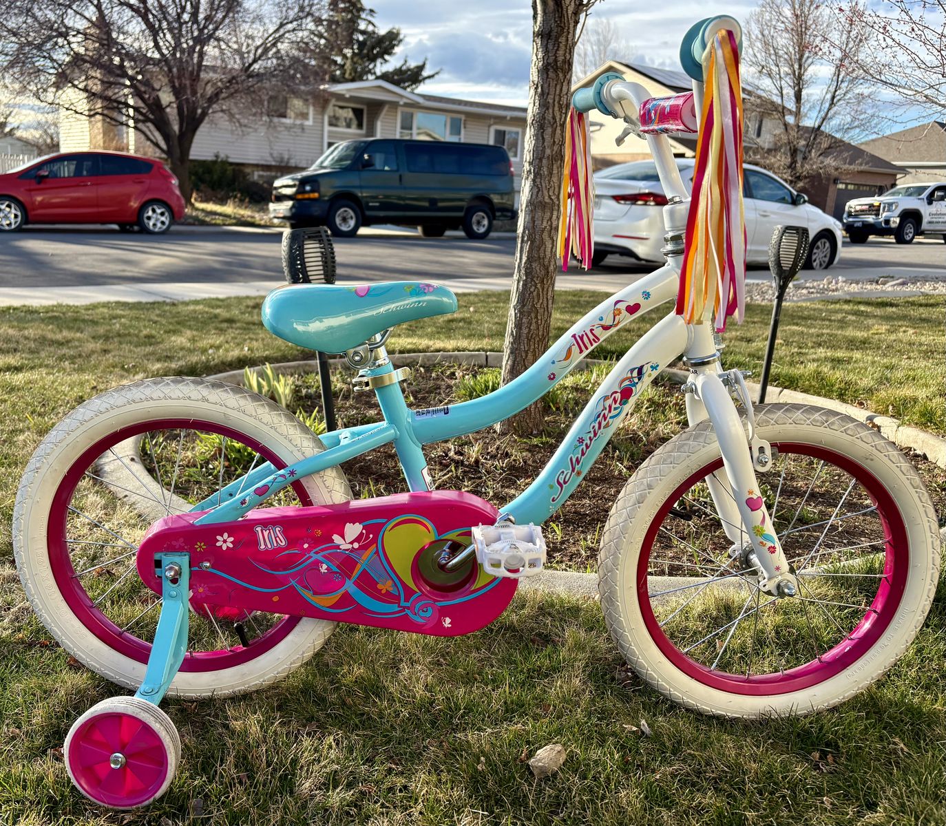 16 Inch Schwinn Bike Ready To Ride