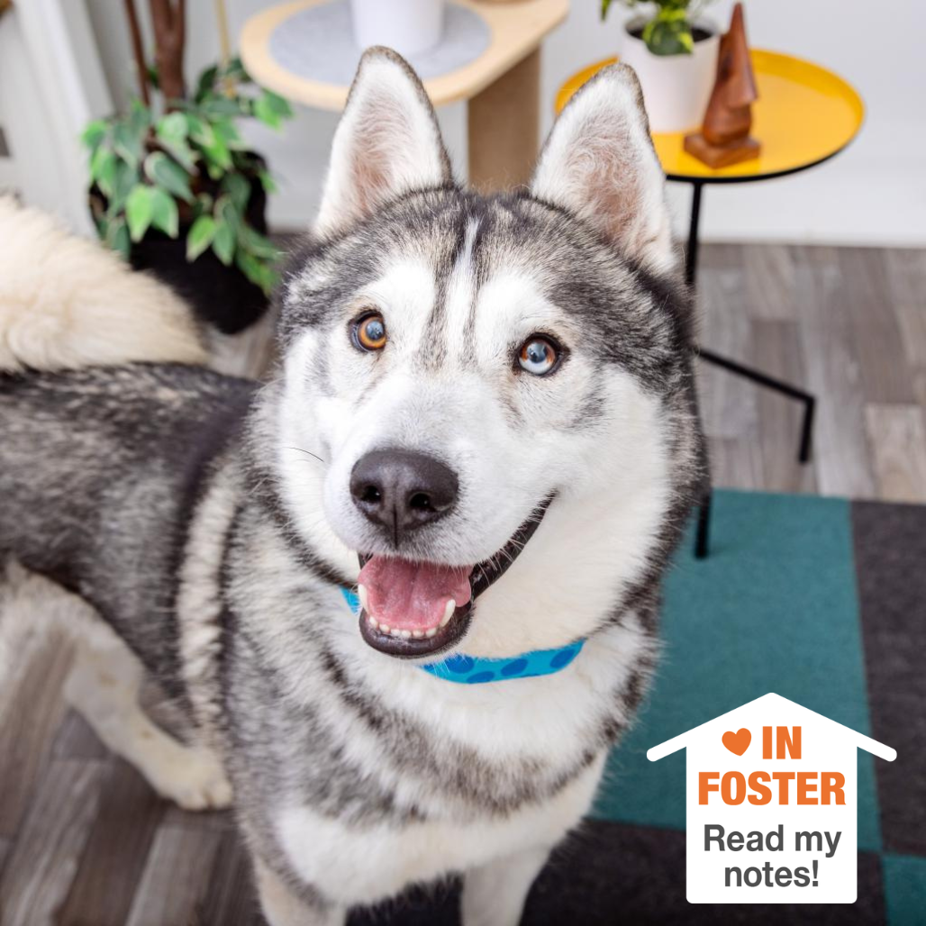 Hello my name is Cecil