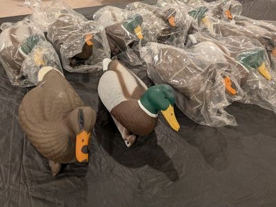 Decoy Mallard ducks w/strings.