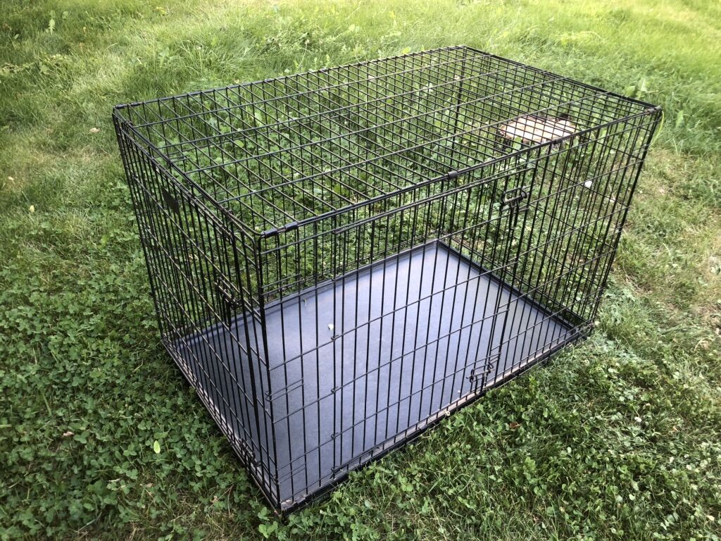 Dog Kennel