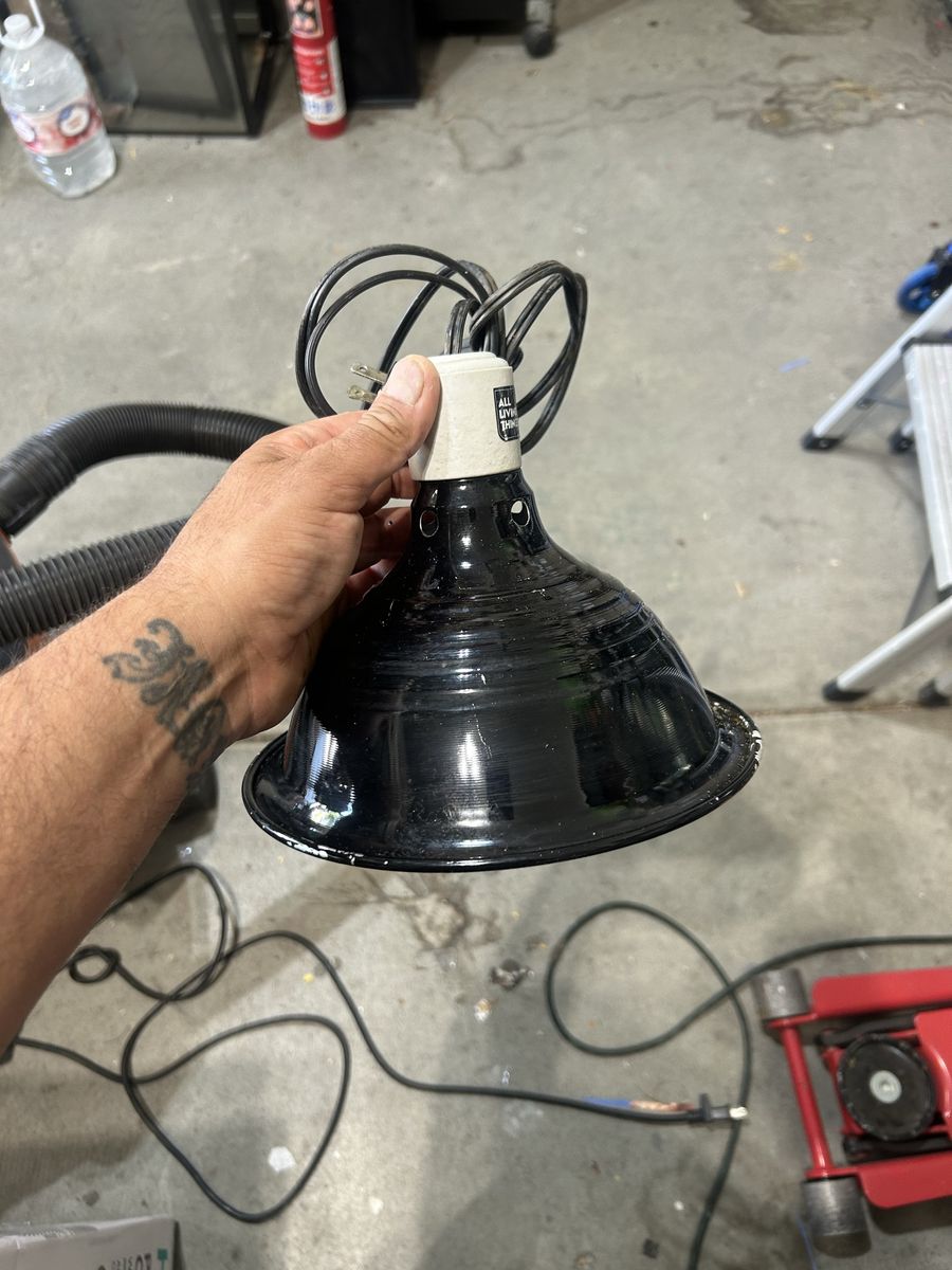 Reptile lamp