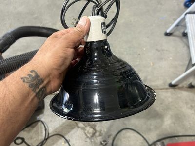 Reptile lamp