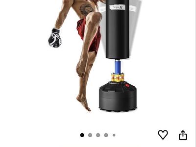 Dripex Punching Bag and Century 10oz Gloves