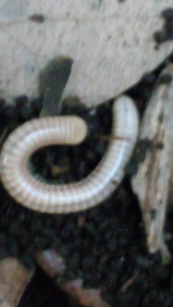 Main image 5