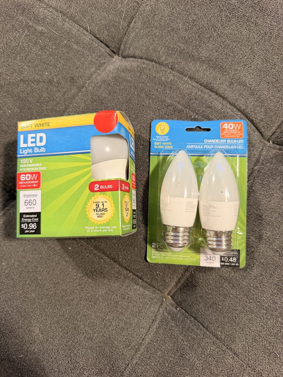 2-Pack LED 60W Equivalent A19 Soft White Light Bulbs & 2-Pack 40W Chandelier LED Bulbs