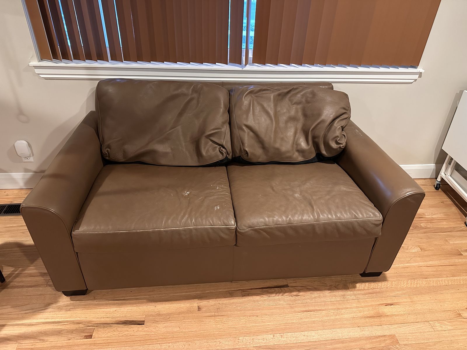 Leather Pull Out Love Seat