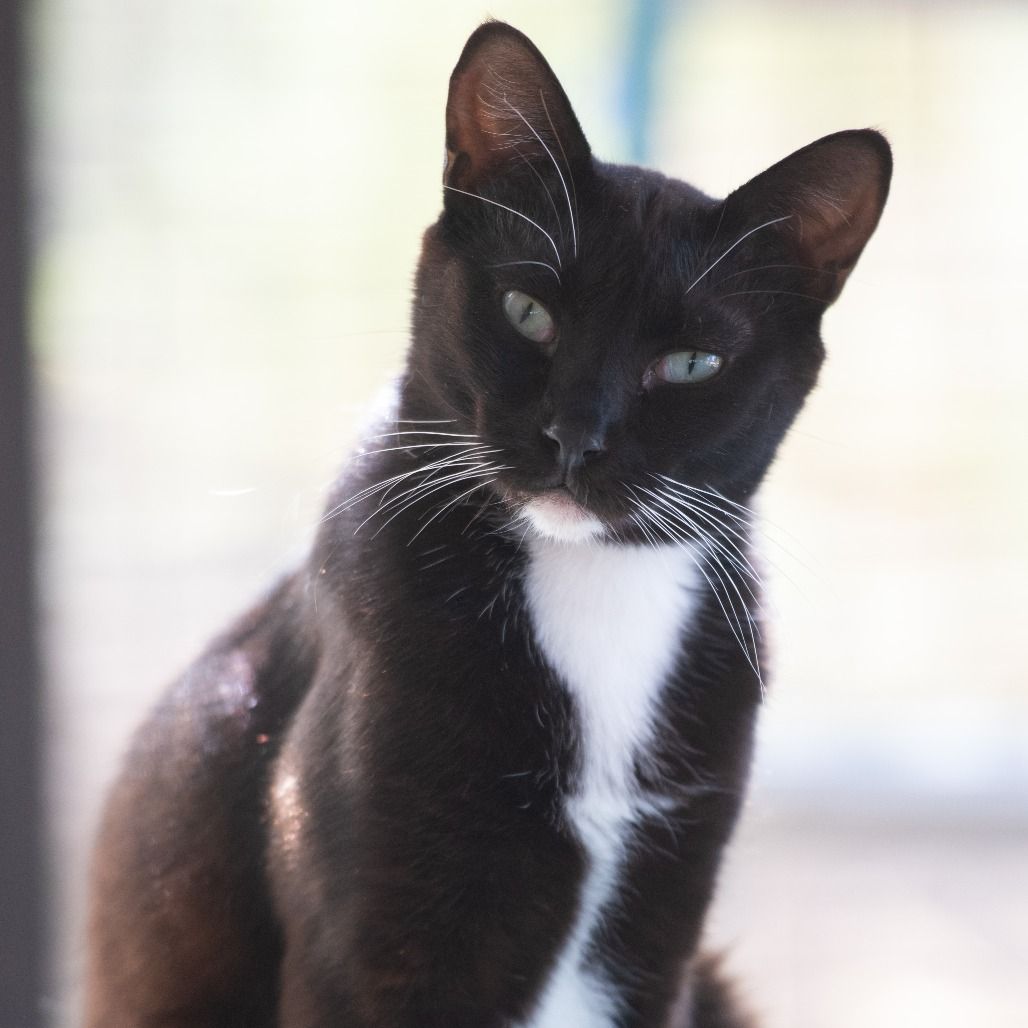 Hello my name is Powell