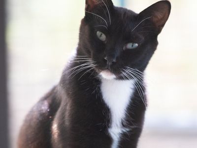 Hello my name is Powell