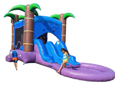 Inflatable Palm Tree Bounce House Wet/Dry Water Slide Combo
