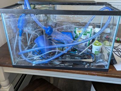 Fish tank with supplies