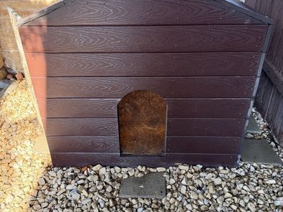 Dog house