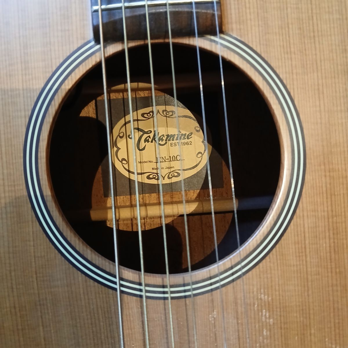 takamine guitar
