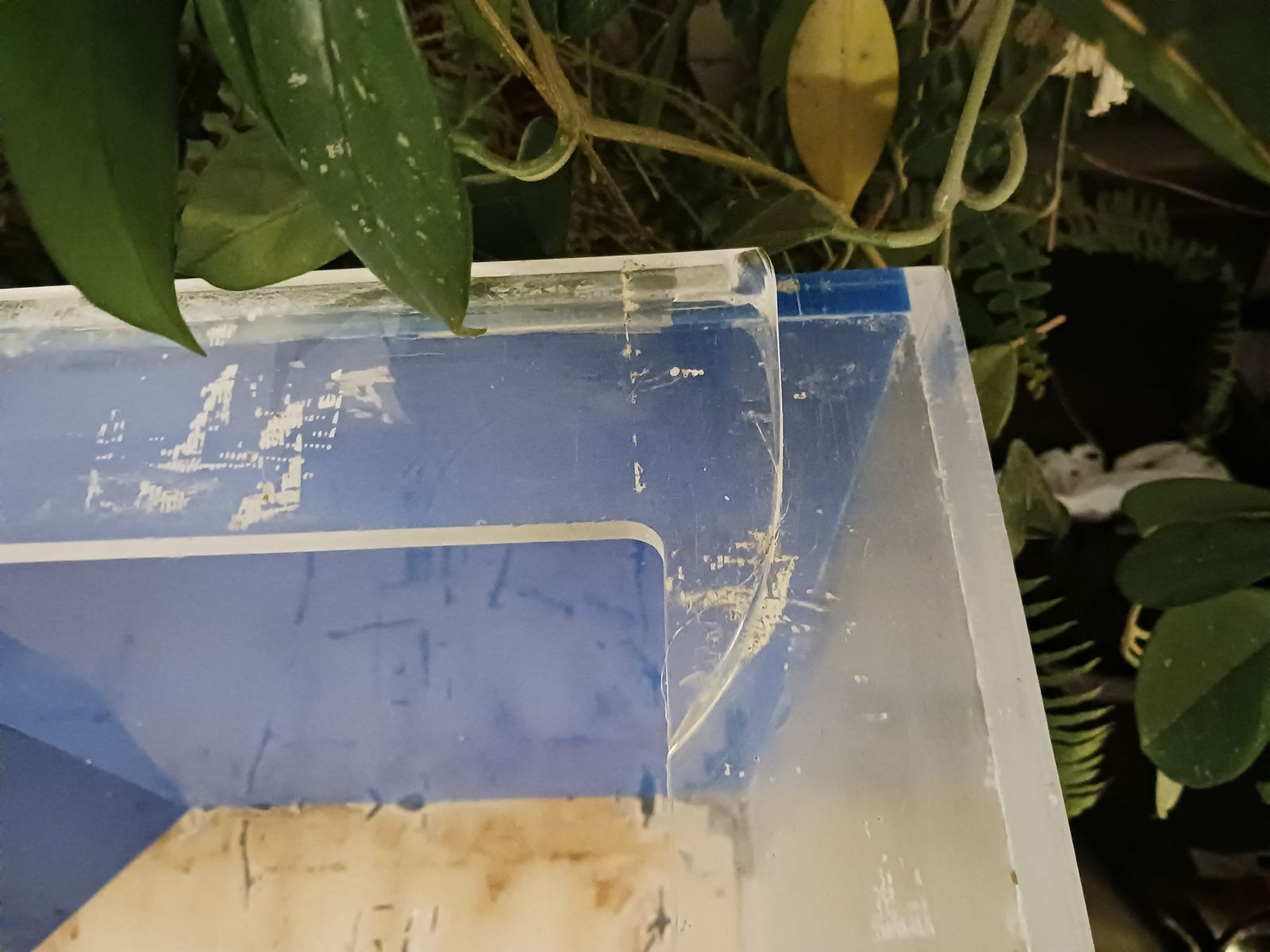 Main image 6