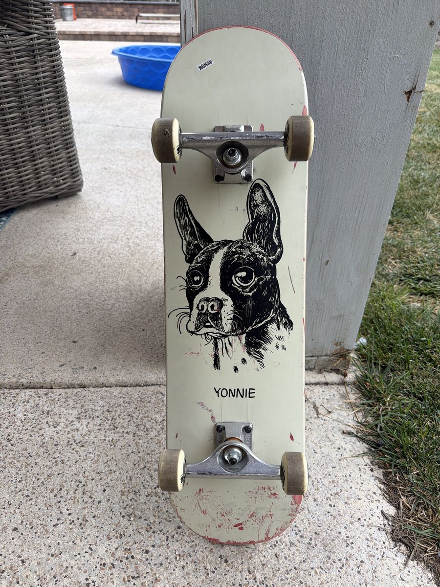 Skateboard (8” deck)