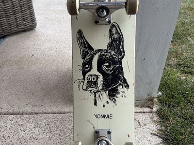 Skateboard (8” deck)