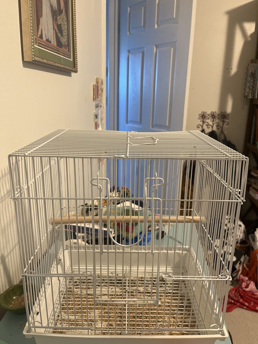 Small Bird Cage