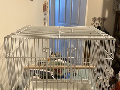Small Bird Cage