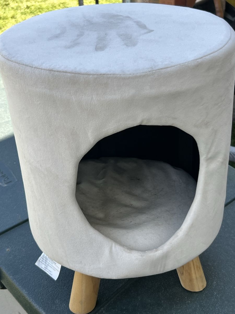 Cat home